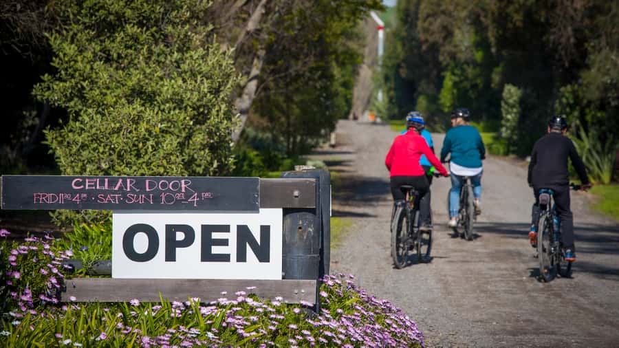 Napier: Cape Coast Winery Tour on E-Bikes - Who will enjoy this Napier wine tour most?