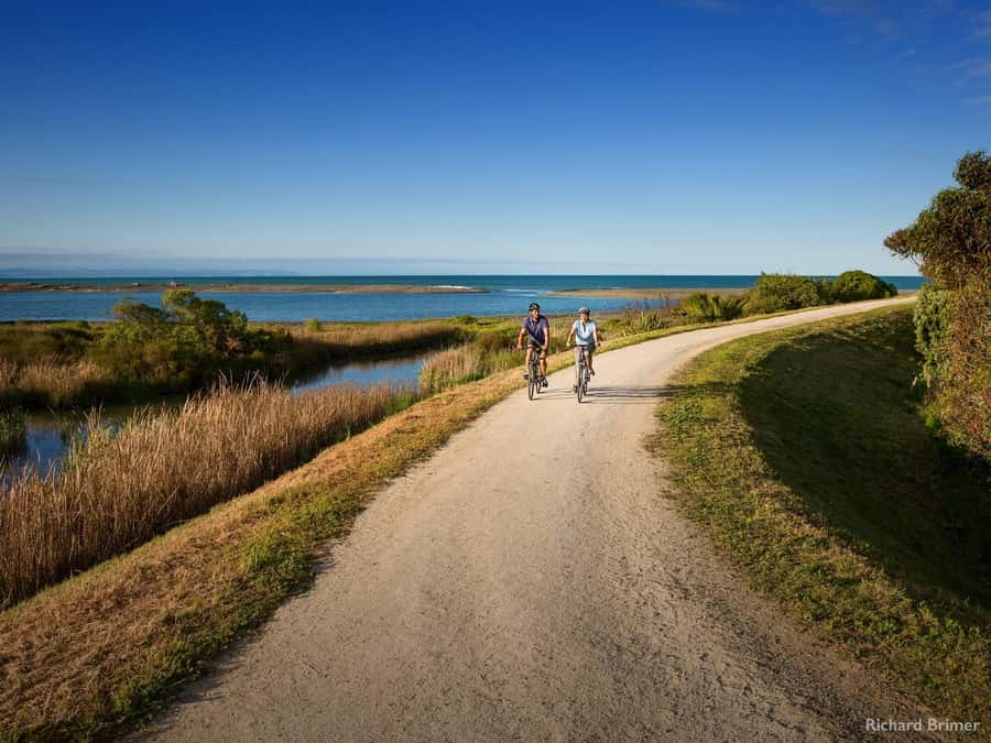 Napier: Cape Coast Winery Tour on E-Bikes - Cape Kidnappers to the first wine stops