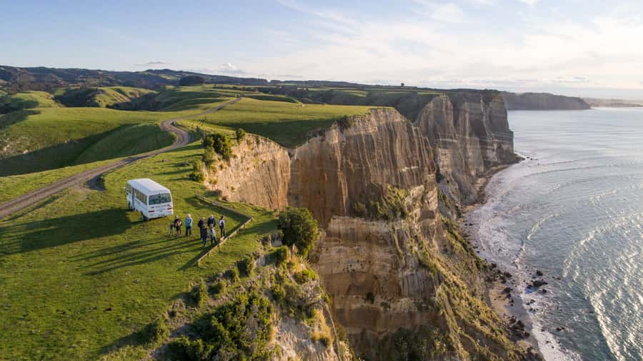 Napier: Cape Kidnappers Gannet, Nature & Sightseeing Tour - The three-hour route to the gannet colony