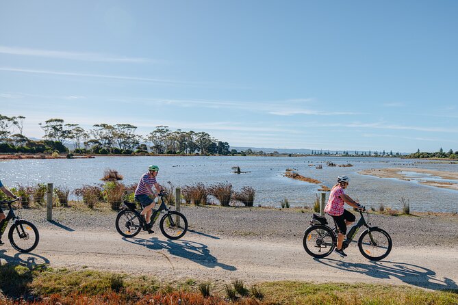 Napier E-bike Hire - Starting Opposite the Napier iSite