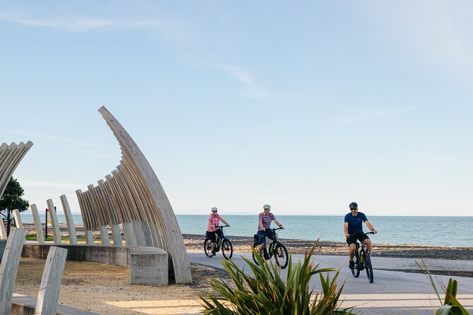 Napier E-bike Hire - The Map Is the Weak Link