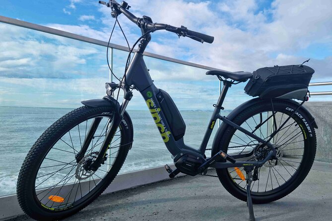 Napier E-bike Hire - Wetlands, Wildlife, and the Route to Mission Estate
