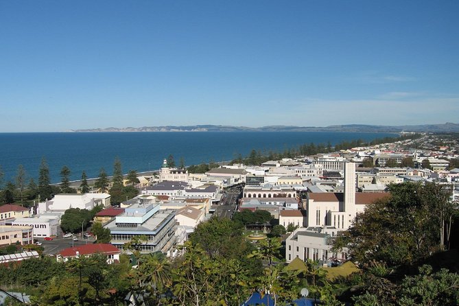 Napier Shore Excursion: City Sights and Hawke's Bay Tour - Key points at a glance