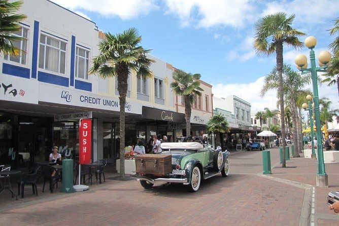 Napier Shore Excursion: Wine & Art Deco Tour - Why this is a good first look at Napier