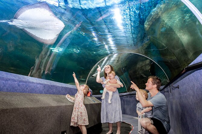 National Aquarium of New Zealand in Napier General Admission - Is $18.31 good value?