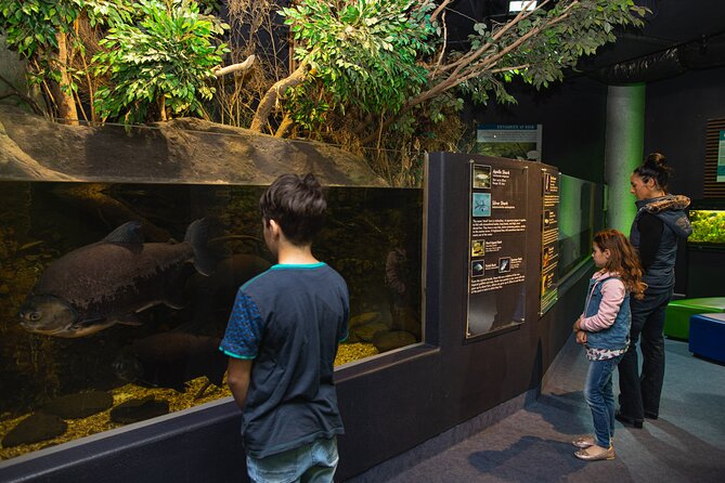 National Aquarium of New Zealand in Napier General Admission - Who will enjoy this aquarium most?
