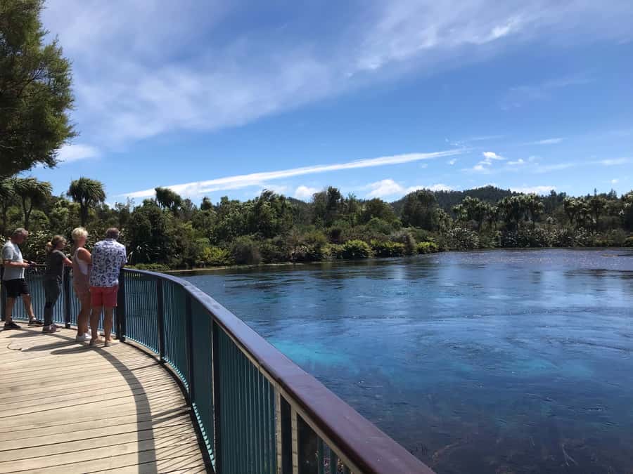 Nelson: Abel Tasman Cruise-Fly Day Tour - Why this day trip works so well