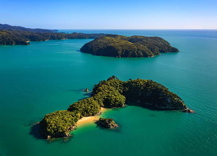 Nelson: Abel Tasman Cruise-Fly Day Tour - Fifty minutes on Tōtaranui Beach