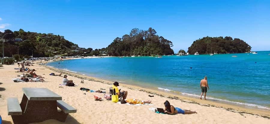 Nelson: Abel Tasman Cruise-Fly Day Tour - The scenic flight from Tākaka to Nelson