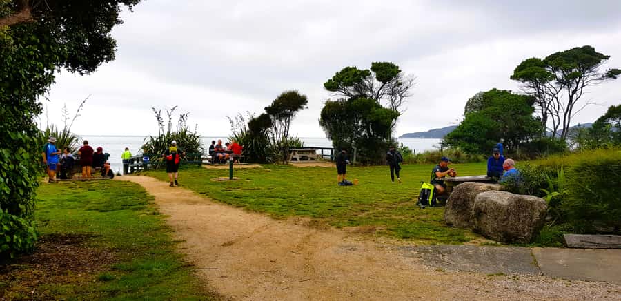 Nelson: Abel Tasman Cruise-Fly Day Tour - Timing, coordination, and the real drawbacks