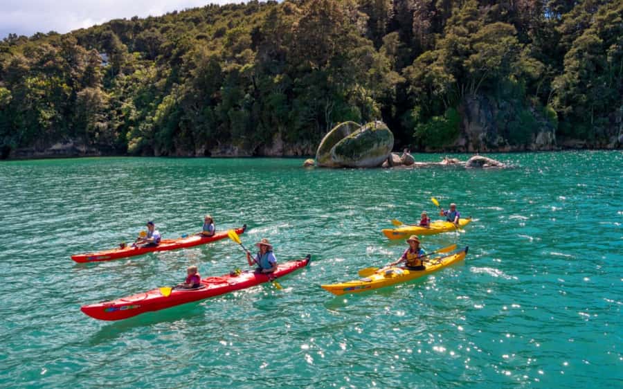 Nelson: Abel Tasman Kayaking & Great Taste Trail Bike Tour - Why this day works so well in Nelson