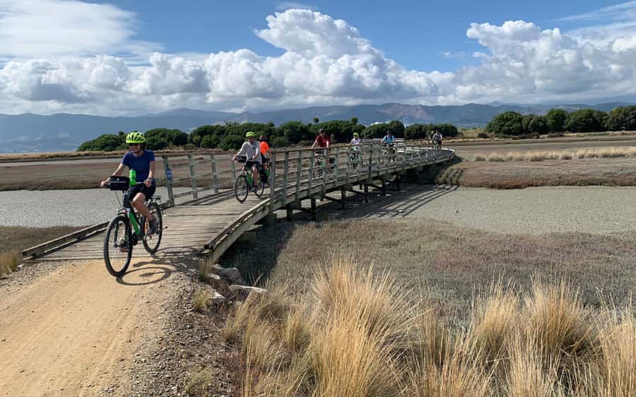 Nelson: Abel Tasman Kayaking & Great Taste Trail Bike Tour - A golden-sand beach and a useful pause
