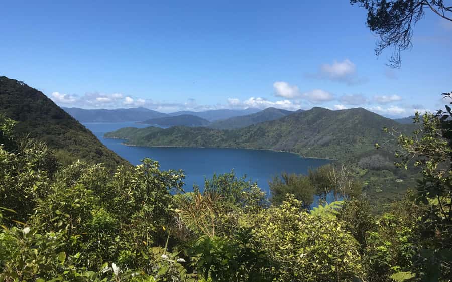 Nelson: Abel Tasman Kayaking & Great Taste Trail Bike Tour - From paddle to pedal in Kaiteriteri Mountain Bike Park