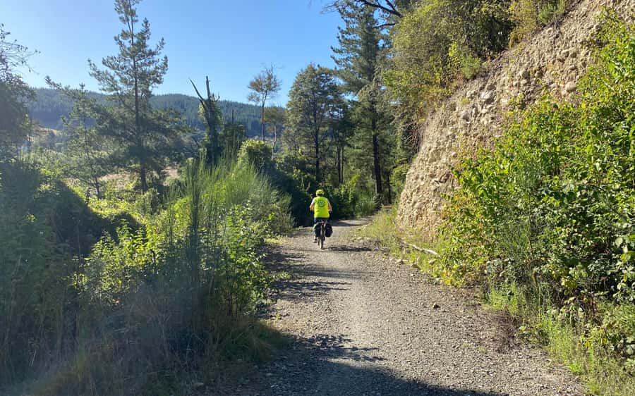 Nelson: Abel Tasman Kayaking & Great Taste Trail Bike Tour - Riding the Great Taste Trail to Mapua