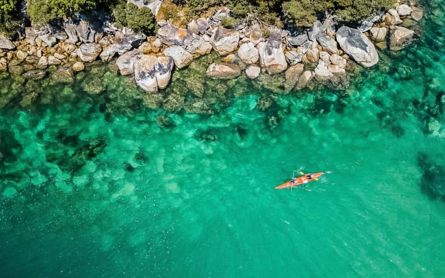 Nelson: Abel Tasman Kayaking & Great Taste Trail Bike Tour - Who should book this experience