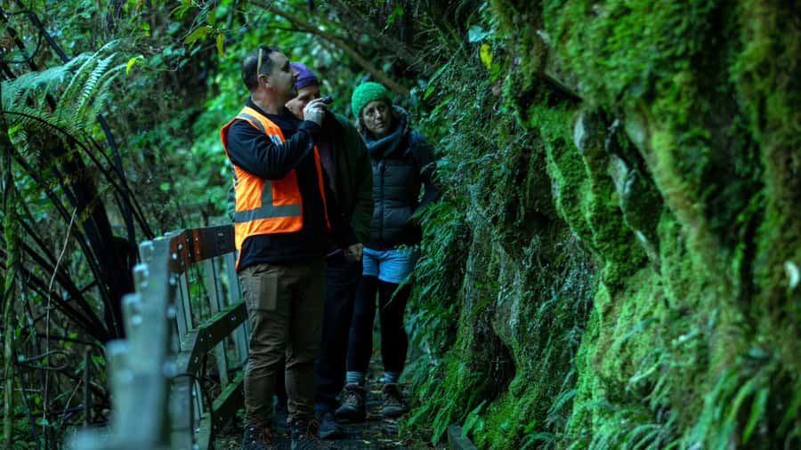 Nelson: Brook Waimārama Sanctuary Guided Night Walk - Key points to know before booking