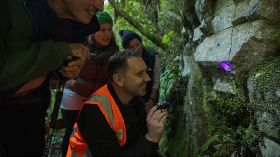 Nelson: Brook Waimārama Sanctuary Guided Night Walk - Starting at the sanctuary visitor centre
