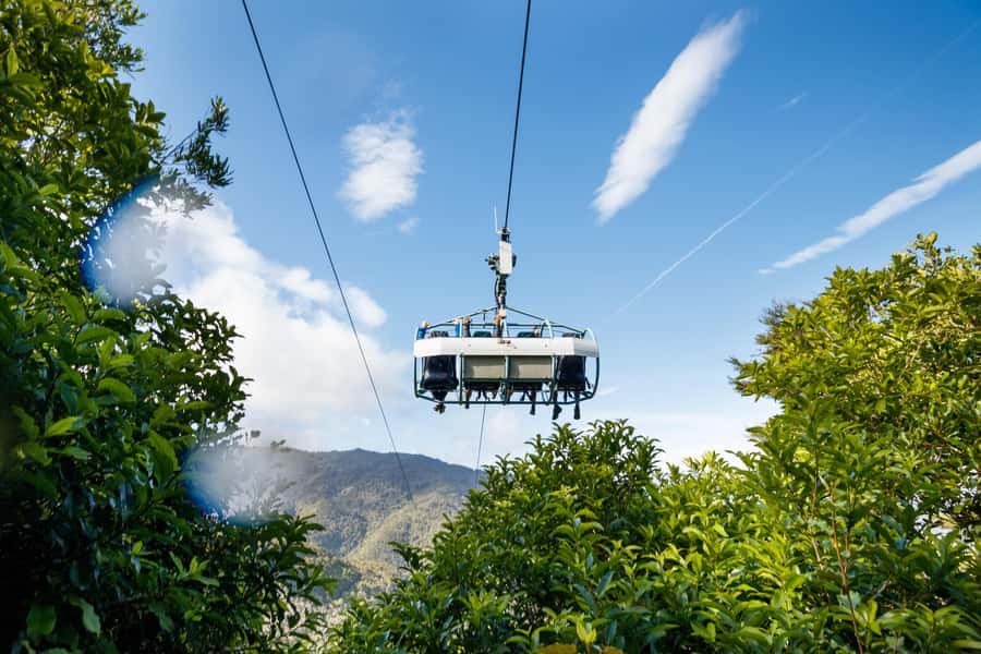 Nelson: Cable Bay Adventure Park Skywire Experience - Guides make more difference than you might expect