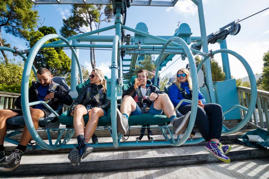 Nelson: Cable Bay Adventure Park Skywire Experience - Who will enjoy it most