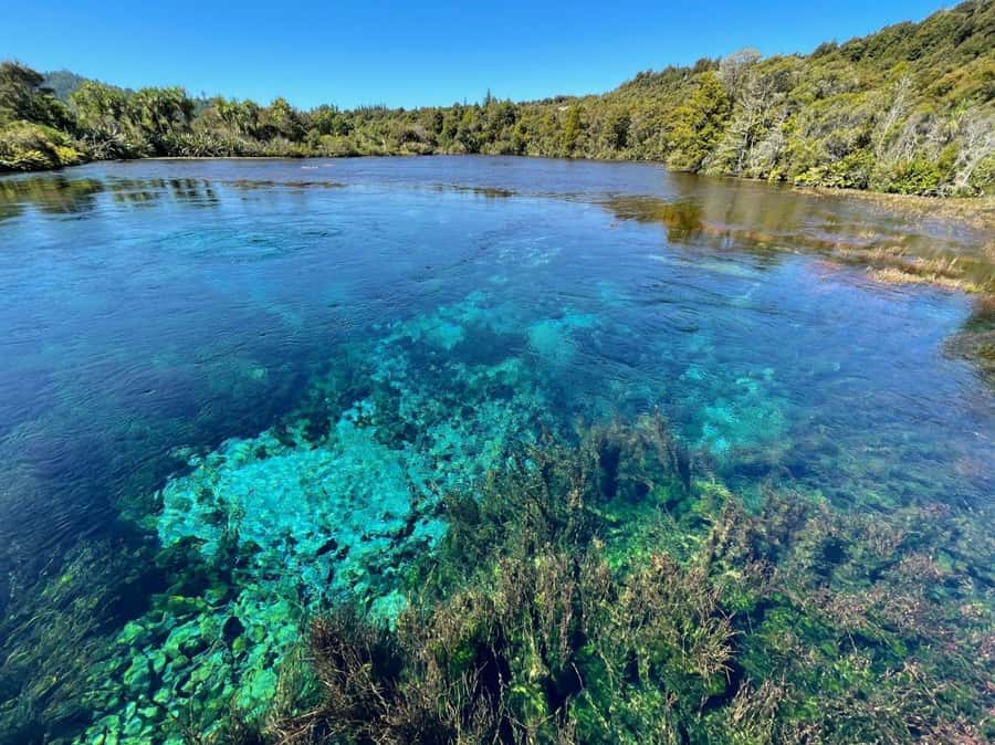 Nelson: Golden Bay in a Day Tour - Key points to know before you go