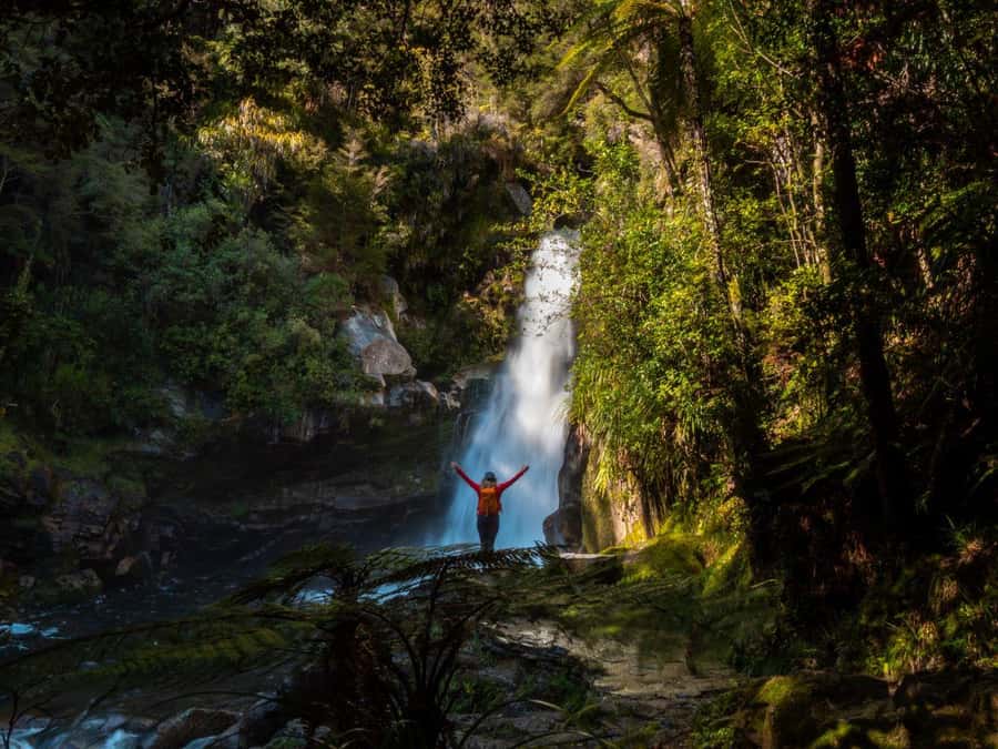 Nelson: Golden Bay in a Day Tour - How the private format changes the day