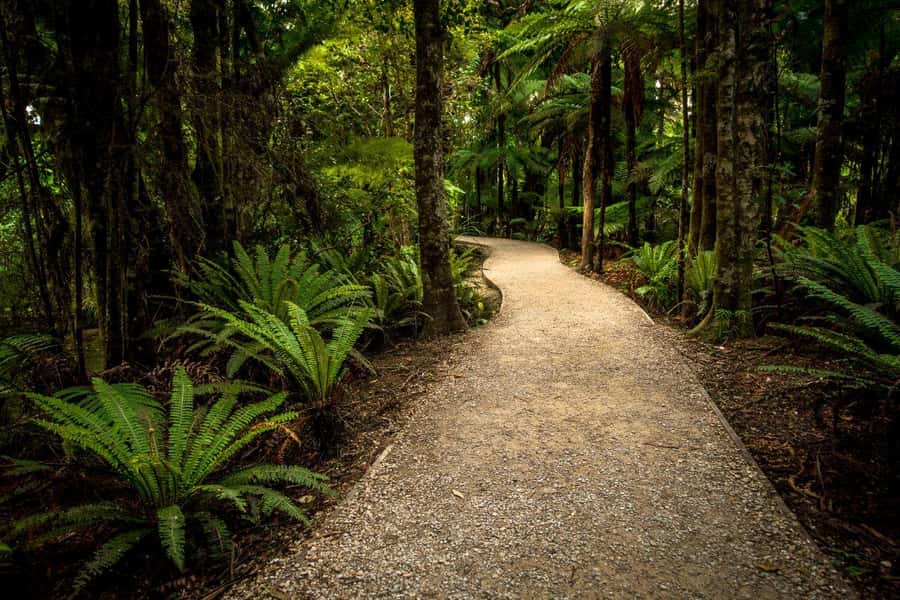 Nelson: Golden Bay in a Day Tour - Who will get the most from this day
