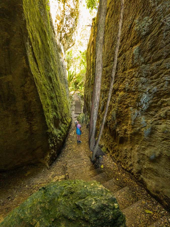 Nelson: Golden Bay in a Day Tour - The road through the Tasman District