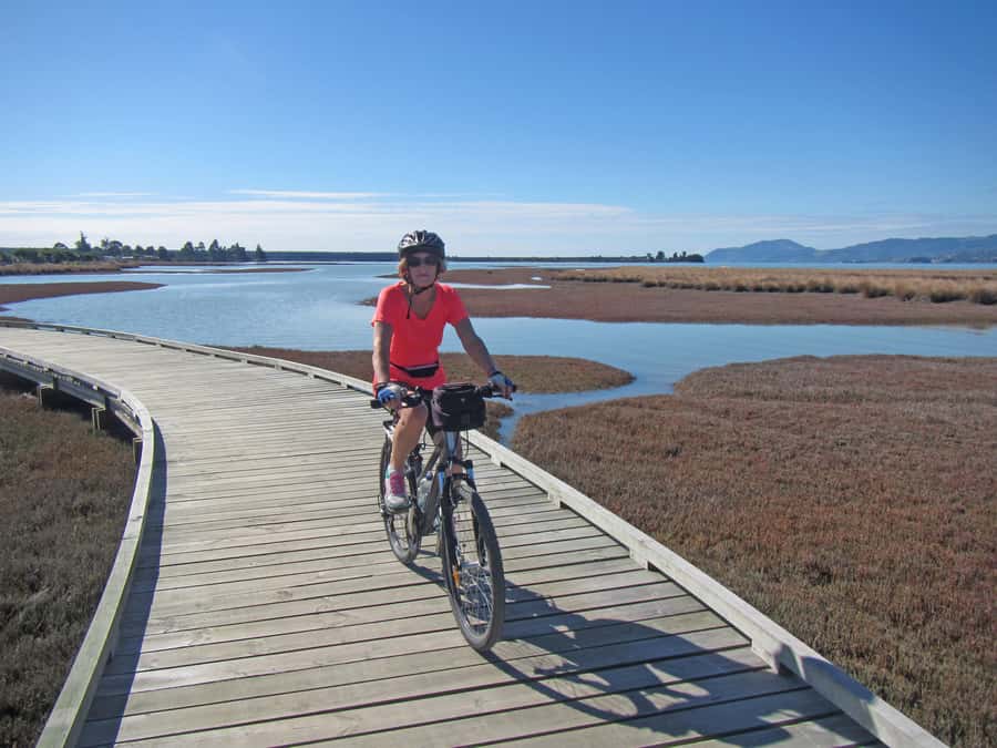 Nelson: Great Taste Trail Coastal Bike Ride to Mapua - Key points to know before you book
