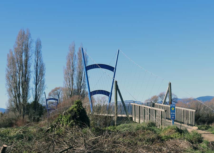 Nelson: Great Taste Trail Coastal Bike Ride to Mapua - Arriving in Mapua for the final few hours