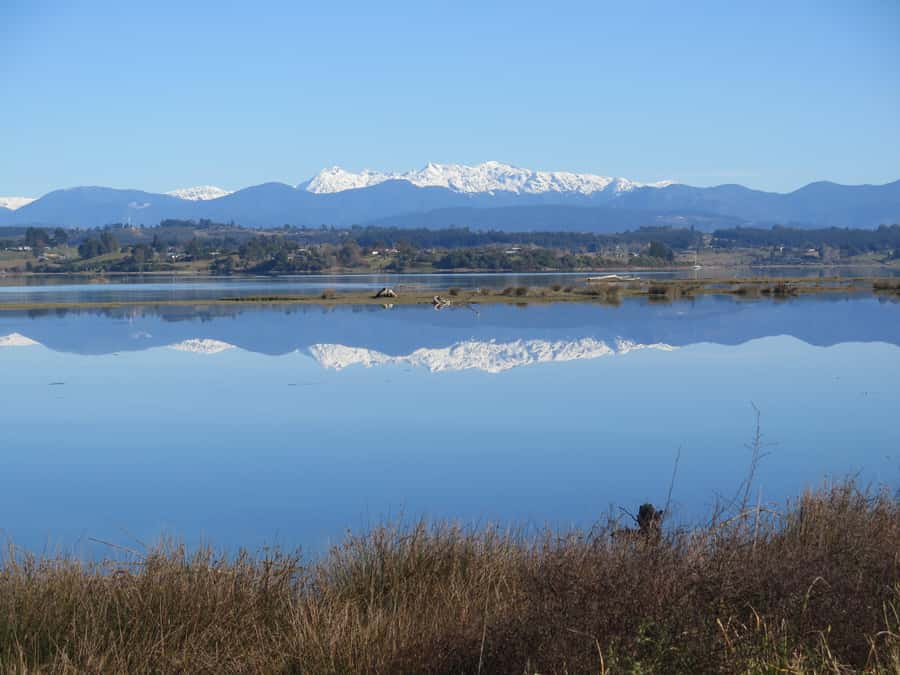 Nelson: Great Taste Trail Coastal Bike Ride to Mapua - Is $113 good value?