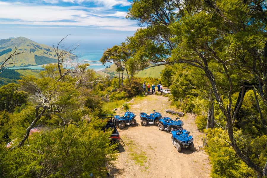 Nelson: Guided Quad Biking Tour Through Forest and Farmland - Key points before you book