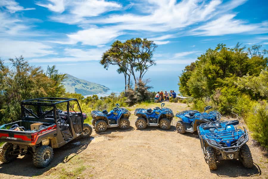 Nelson: Guided Quad Biking Tour Through Forest and Farmland - Should you book the Nelson quad biking tour?