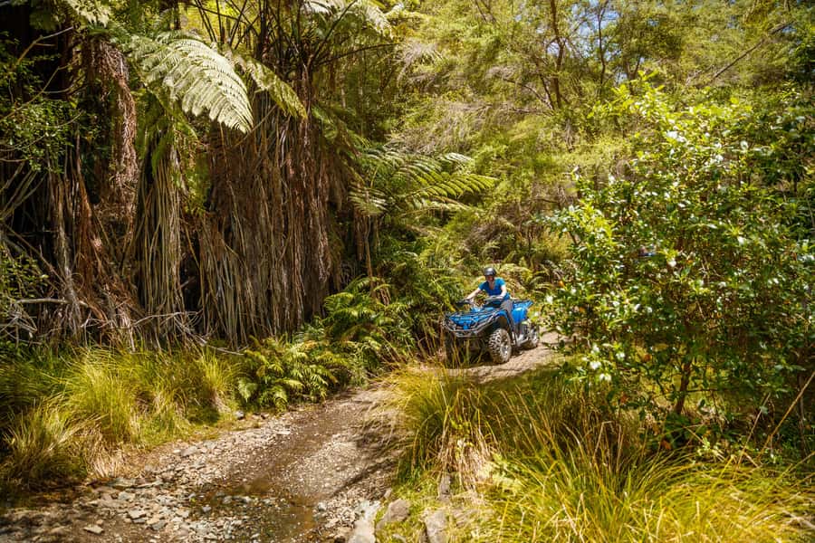 Nelson: Guided Quad Biking Tour Through Forest and Farmland - The 2.5-hour Bayview Circuit to Delaware Bay
