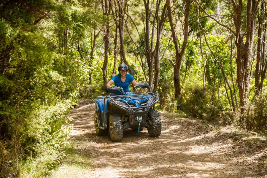 Nelson: Guided Quad Biking Tour Through Forest and Farmland - Why the guides make such a difference