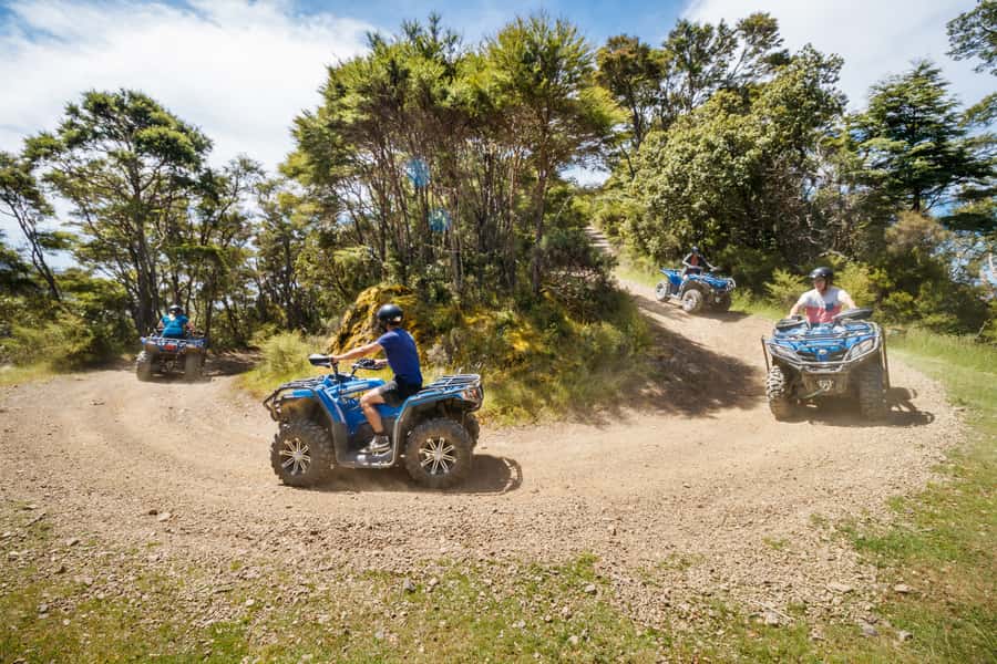 Nelson: Guided Quad Biking Tour Through Forest and Farmland - What the terrain feels like