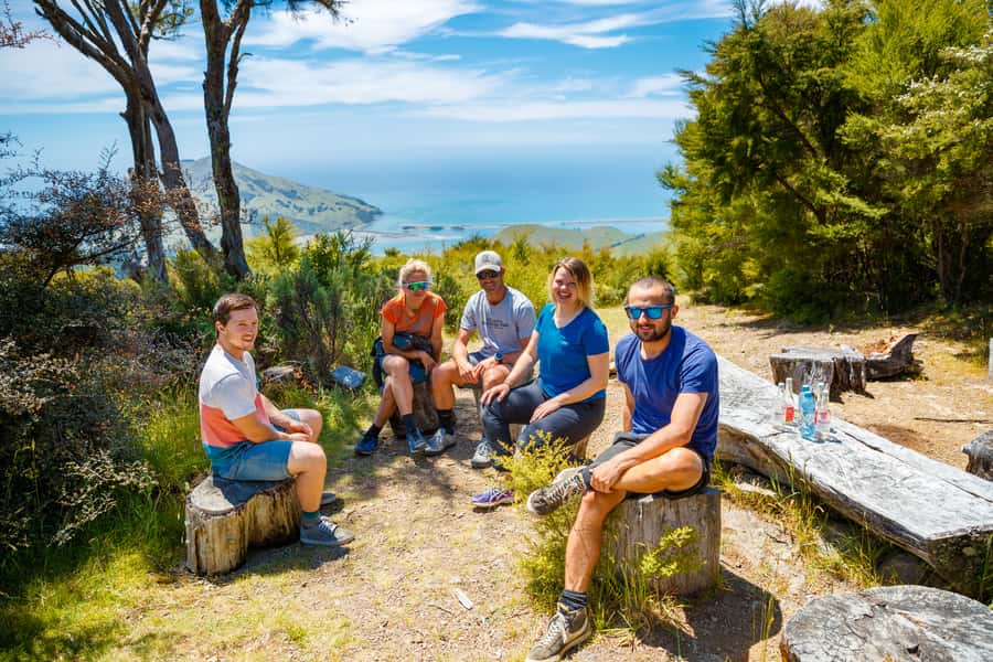Nelson: Guided Quad Biking Tour Through Forest and Farmland - Who can drive, and who should ride as a passenger