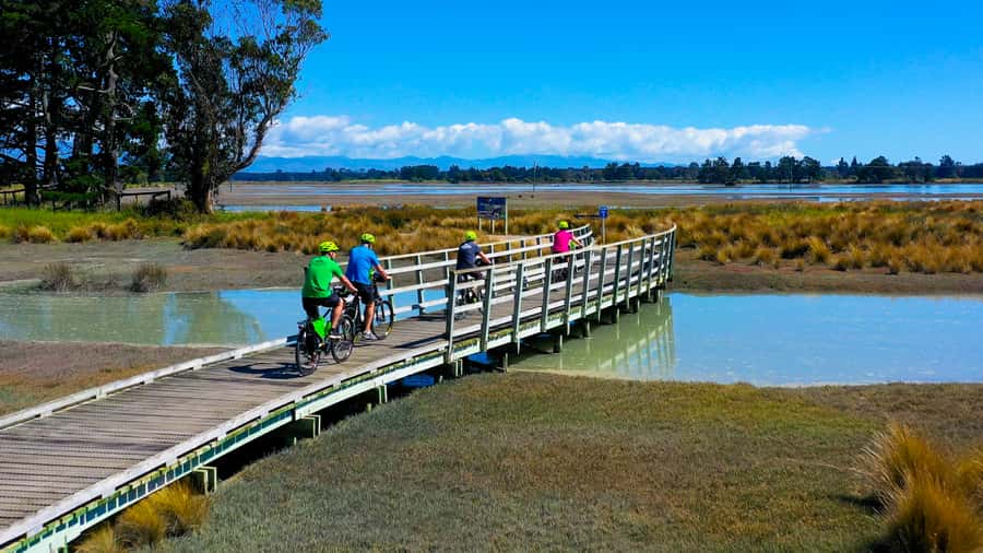 Nelson to Mapua: Full-Day Cycling Self-Guided Adventure - The Honest Lawyer and the food-and-drink stops