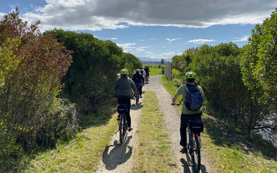 Nelson to Mapua: Full-Day Cycling Self-Guided Adventure - Crossing to Mapua on the iconic ferry