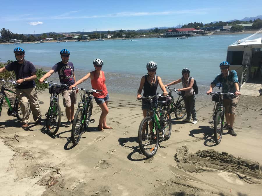 Nelson to Mapua: Full-Day Cycling Self-Guided Adventure - Finishing at Mapua Wharf and returning to Nelson