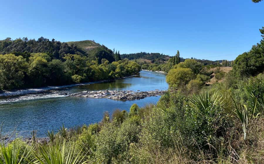 Nelson to Mapua: Full-Day Cycling Self-Guided Adventure - Is $77 good value for a seven-hour outing?