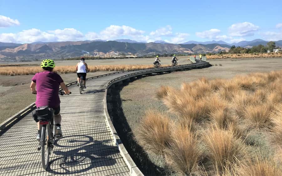 Nelson to Mapua: Full-Day Cycling Self-Guided Adventure - Who should book this cycling adventure?