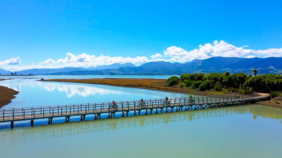 Nelson to Mapua: Full-Day Cycling Self-Guided Adventure - Finding your way through Nelson and toward Mapua