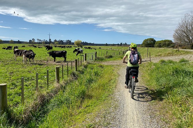 Nelson to Mapua: Full-Day Self-Guided Cycling Adventure - Eddyline marks the food and beer finish