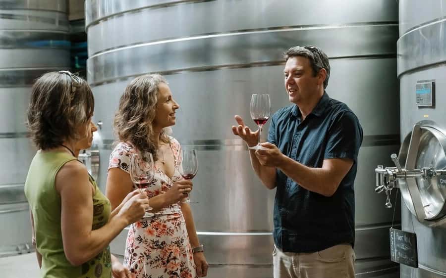 Nelson: Wine Tour with Tastings and Lunch - Key points at a glance