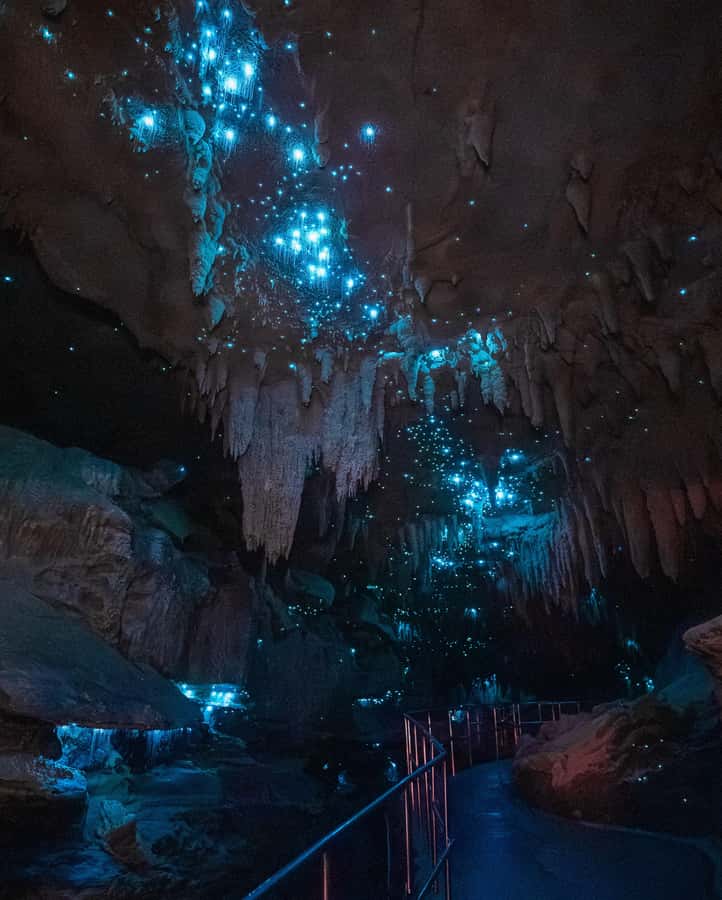 New Zealand: Milky Way Glowworm Cave Tour - A newly opened cave with an unusual backstory