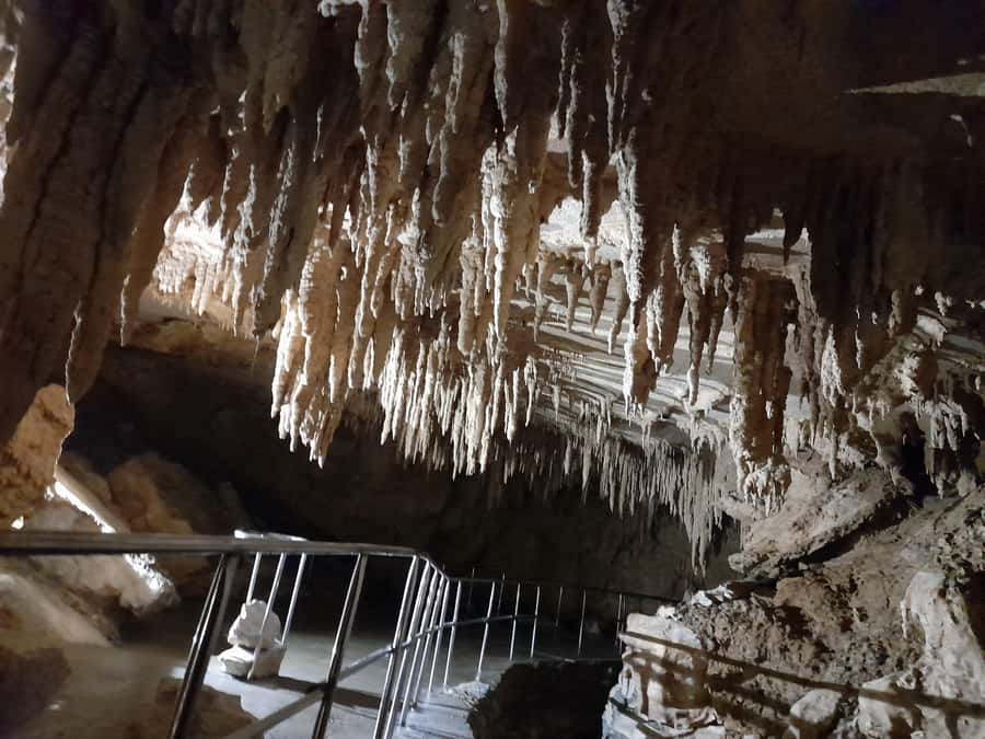 New Zealand: Milky Way Glowworm Cave Tour - The glowworms and how the dark viewing works