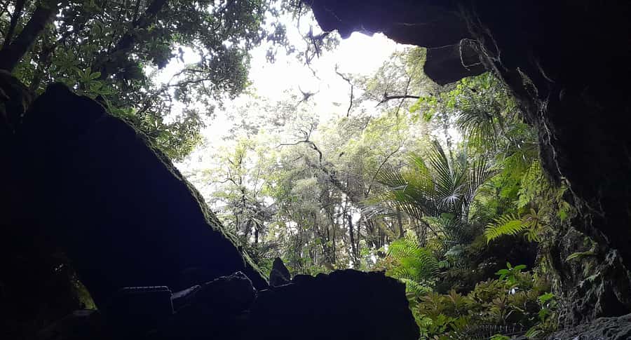 New Zealand: Milky Way Glowworm Cave Tour - Why the $26 price offers good value