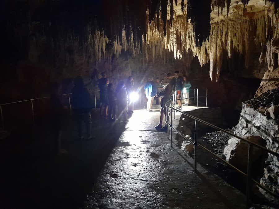 New Zealand: Milky Way Glowworm Cave Tour - Making the stop from Auckland