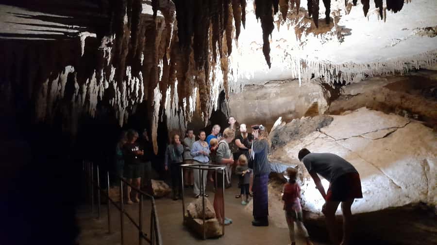 New Zealand: Milky Way Glowworm Cave Tour - My booking call
