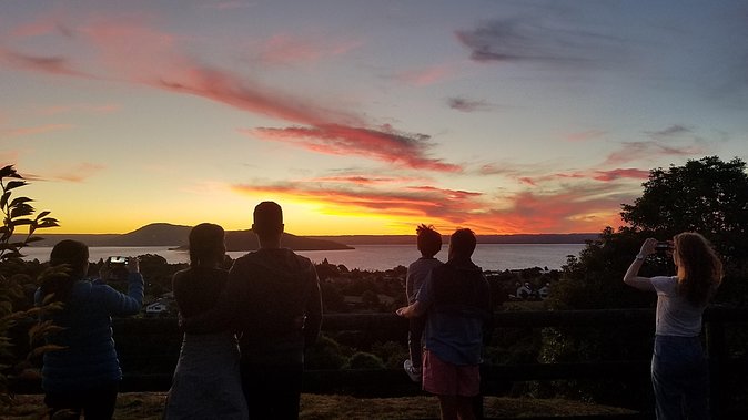 Nocturnal adventure Glow-worm tour - Hot chocolate, cookies, and a thoughtful finish